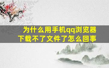 为什么用手机qq浏览器下载不了文件了怎么回事