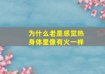 为什么老是感觉热身体里像有火一样