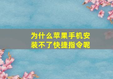 为什么苹果手机安装不了快捷指令呢