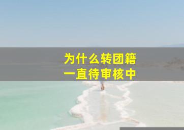 为什么转团籍一直待审核中