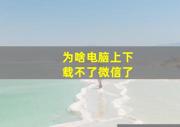 为啥电脑上下载不了微信了