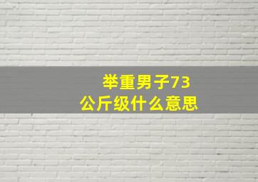 举重男子73公斤级什么意思