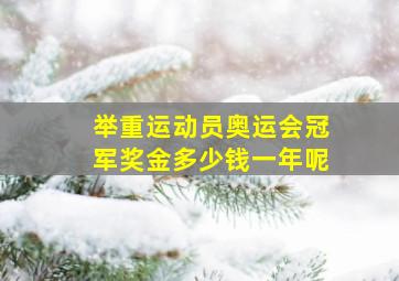 举重运动员奥运会冠军奖金多少钱一年呢