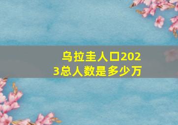 乌拉圭人口2023总人数是多少万