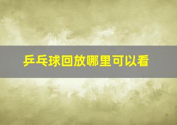 乒乓球回放哪里可以看