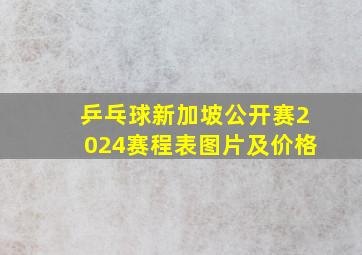 乒乓球新加坡公开赛2024赛程表图片及价格