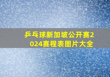 乒乓球新加坡公开赛2024赛程表图片大全