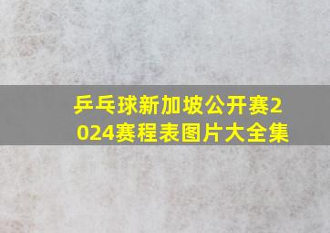 乒乓球新加坡公开赛2024赛程表图片大全集