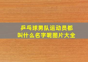 乒乓球男队运动员都叫什么名字呢图片大全