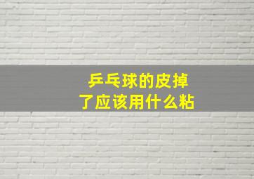 乒乓球的皮掉了应该用什么粘