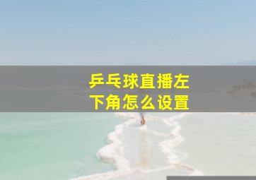 乒乓球直播左下角怎么设置