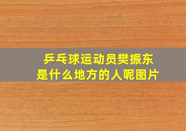 乒乓球运动员樊振东是什么地方的人呢图片