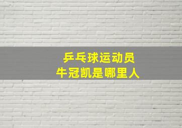 乒乓球运动员牛冠凯是哪里人