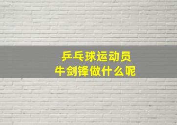 乒乓球运动员牛剑锋做什么呢