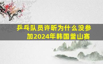 乒乓队员许昕为什么没参加2024年韩国釜山赛