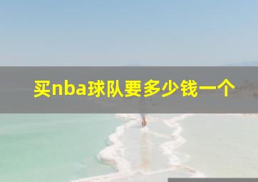 买nba球队要多少钱一个