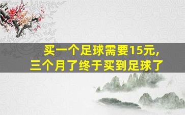 买一个足球需要15元,三个月了终于买到足球了