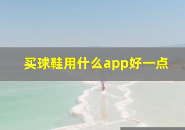 买球鞋用什么app好一点