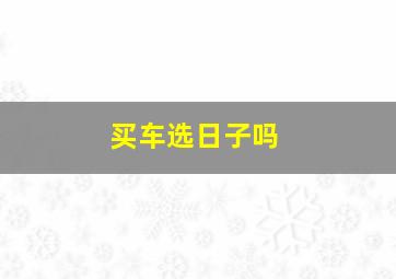 买车选日子吗