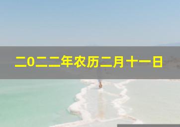 二0二二年农历二月十一日