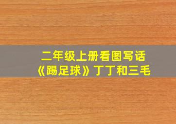 二年级上册看图写话《踢足球》丁丁和三毛