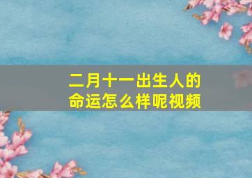 二月十一出生人的命运怎么样呢视频