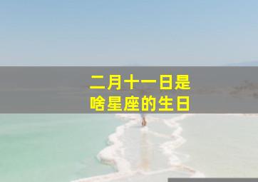 二月十一日是啥星座的生日