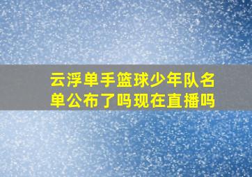 云浮单手篮球少年队名单公布了吗现在直播吗