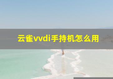 云雀vvdi手持机怎么用