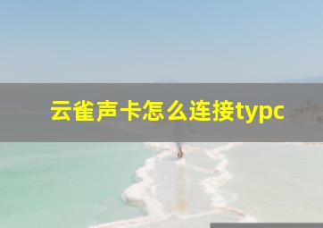 云雀声卡怎么连接typc