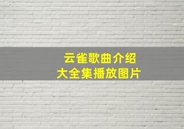 云雀歌曲介绍大全集播放图片