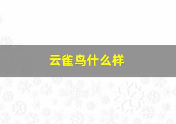 云雀鸟什么样