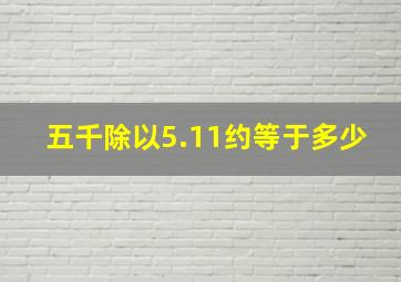 五千除以5.11约等于多少