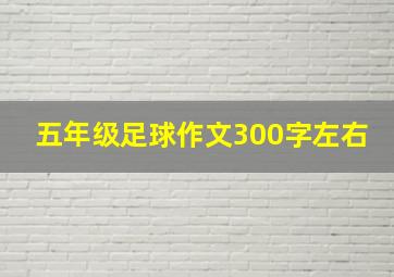 五年级足球作文300字左右