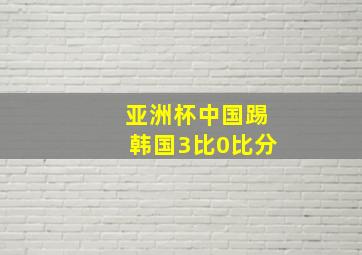 亚洲杯中国踢韩国3比0比分