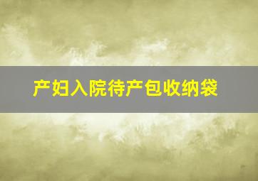 产妇入院待产包收纳袋