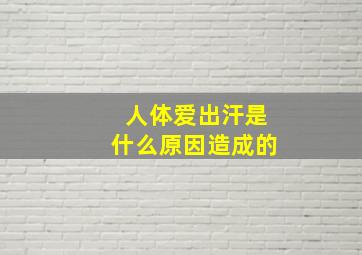 人体爱出汗是什么原因造成的