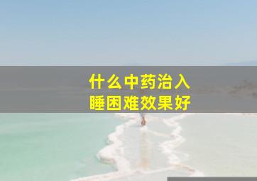 什么中药治入睡困难效果好