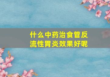 什么中药治食管反流性胃炎效果好呢