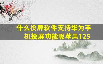 什么投屏软件支持华为手机投屏功能呢苹果12S