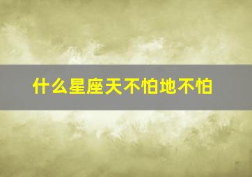 什么星座天不怕地不怕