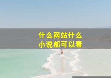 什么网站什么小说都可以看