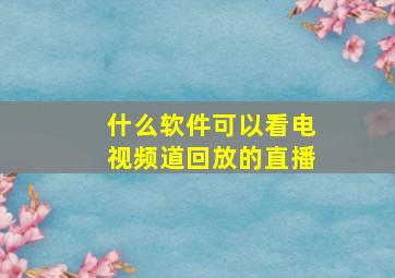 什么软件可以看电视频道回放的直播