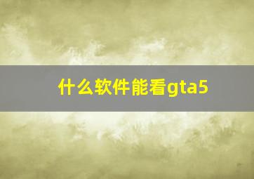 什么软件能看gta5