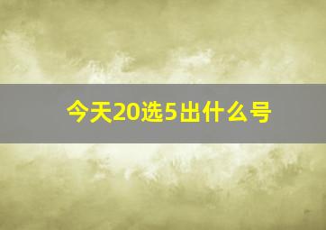 今天20选5出什么号