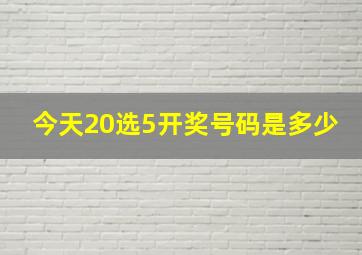 今天20选5开奖号码是多少