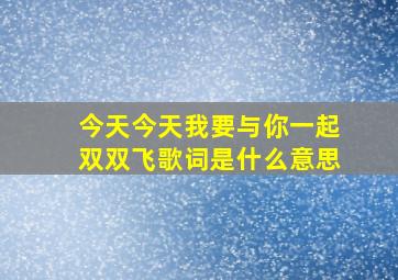 今天今天我要与你一起双双飞歌词是什么意思