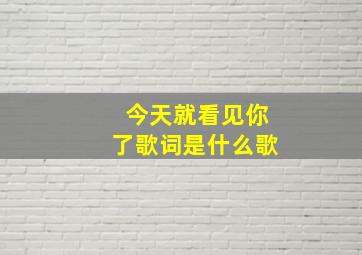 今天就看见你了歌词是什么歌