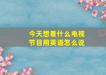 今天想看什么电视节目用英语怎么说