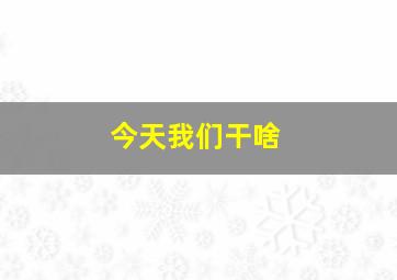 今天我们干啥